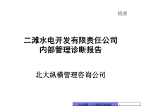 二滩水电开发有限责任公司内部管理诊断报告.pptx