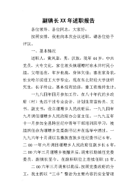 副镇长某年述职报告