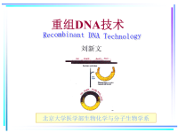 北大基础医学生物化学课件 重组dna技术