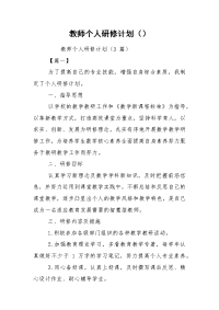 教师个人研修计划（）