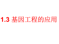 人教版教学课件高中生物选修3基因工程的应用课件