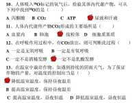 高中生物必修1复习ppt课件