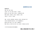 常见微生物菌落形态