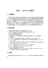 常规分子生物学实验报告-绝对实用