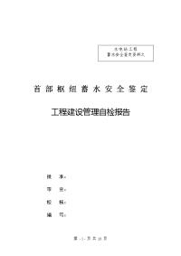 某某电站蓄水安全鉴定建设单位自检报告初核1