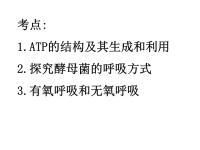 ATP高中生物必修一详解课件