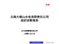 某水电有限责任公司组织诊断报告(PPT 154页).pptx