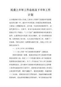 民委上半年工作总结及下半年工作计划