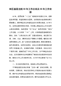 林区基层法院xx年工作总结及xx年工作安排