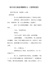 初中语文阅读理解练习：《老师的爱》