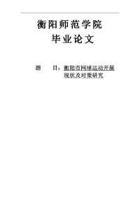 衡阳市网球运动开展现状及对策研究本科生毕业论文