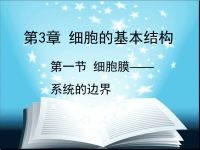 人教版高中生物必修一课件-细胞膜PPT课件