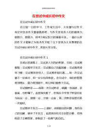 在尝试中成长初中作文