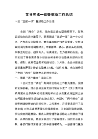 某县三抓一保暨维稳工作总结
