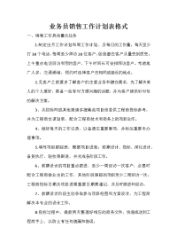 业务员销售工作计划表格式.doc