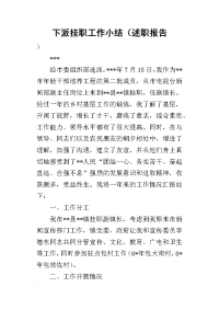 下派挂职工作小结（的述职报告