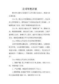 公司年度计划