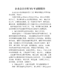 企业总会计师xx年述职报告.doc