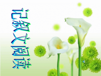 【中考语文】初中记叙文阅读指导模版课件