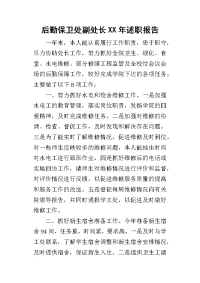 后勤保卫处副处长某年述职报告