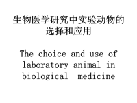 生物医学研究中实验动物的选择和应用