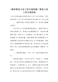 新年财务人员工作计划表格.docx