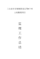 东塔镇监理工作总结