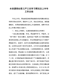 水资源局纪委三严三实学习情况及上半年工作总结