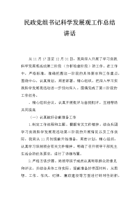 民政党组书记科学发展观工作总结讲话