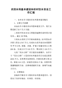 2019农田水利基本建设和农村饮水安全工作汇报