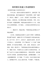 组织委员党建工作述职报告