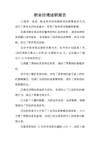 职业经理述职报告