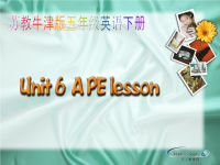 小学英语精美课件A PE lesson