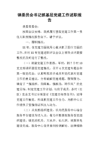 镇委员会书记抓基层党建工作的述职报告