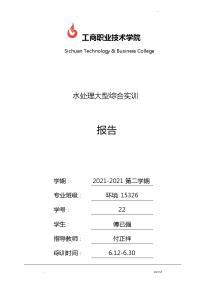 水处理大型综合实训报告