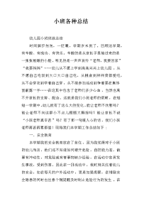 小班各种总结