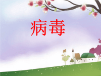 小学科学《病毒》课件