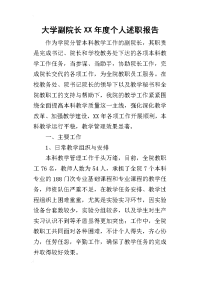 大学副院长某年度个人述职报告