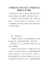 中考满分作文精选范文三篇.docx