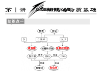 高中三年级生物必�课件