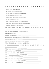 小学五年级英语语法及练习题