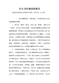 分公司经理述职报告