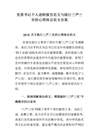 党委书记个人述职报告范文与践行三严三实的心得体会范文合集