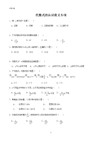 初中代数式练习专项