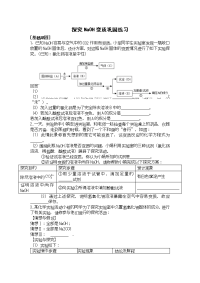 初中化学 探究NaOH变质巩固练习