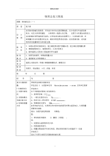 新人教版初中物理总复习专题教案