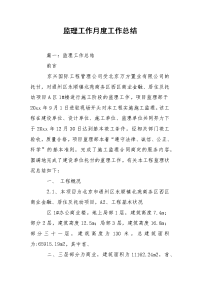 202_年监理工作月度工作总结