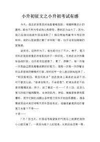 小升初征文之小升初考试有感