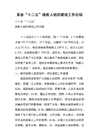 某县“十二五”残疾人组织建设工作总结