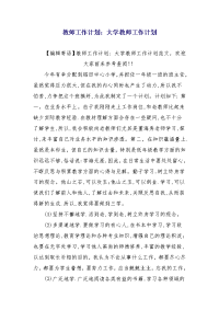 教师工作计划：大学教师工作计划